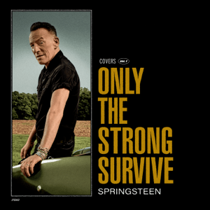 Release cover